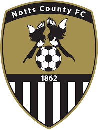 https://img.bjsjrjd.com/img/football/team/9e230c89a846b9cadf91884918fa7611.png